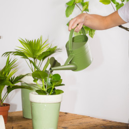 Kültéri fém locsolókanna, 4,3 literes, fűzöld