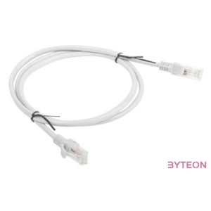 Lanberg PCU6-10CC-0100-S hálózati kábel Szürke 1 M Cat6 U,UTP (UTP)