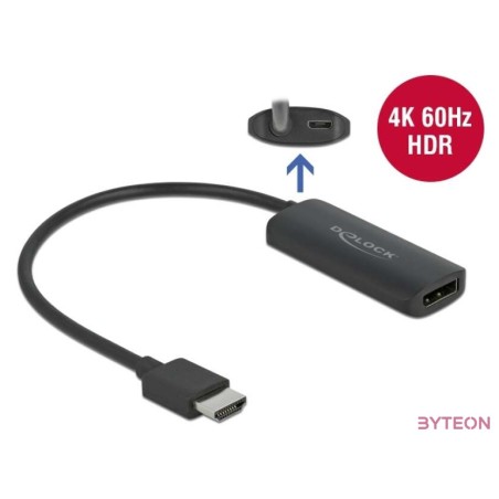 DeLOCK 63206 video átalakító kábel 0,24 M HDMI A-típus (Standard) Fekete