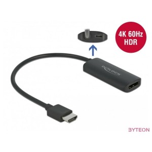 DeLOCK 63206 video átalakító kábel 0,24 M HDMI A-típus (Standard) Fekete