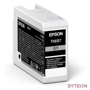 Epson UltraChrome Pro tintapatron 1 dB Eredeti Szürke