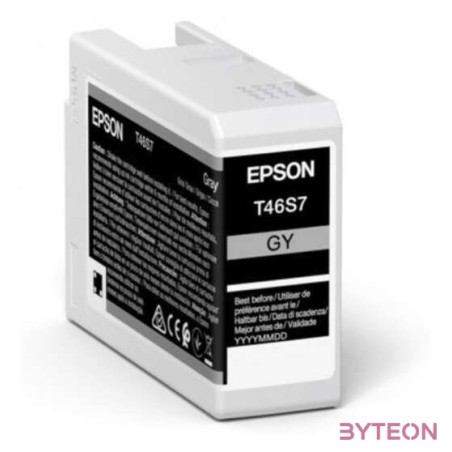 Epson UltraChrome Pro tintapatron 1 dB Eredeti Szürke