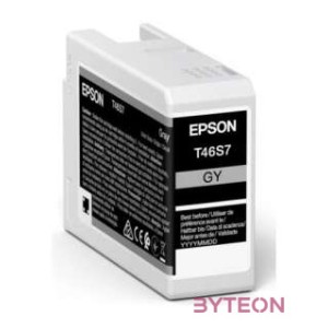 Epson UltraChrome Pro tintapatron 1 dB Eredeti Szürke