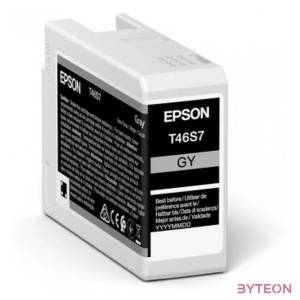 Epson UltraChrome Pro tintapatron 1 dB Eredeti Szürke