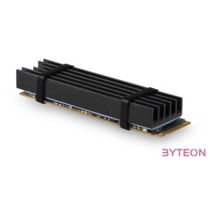 Axagon M2L10 M.2 hűtő (Passzív) - Fekete