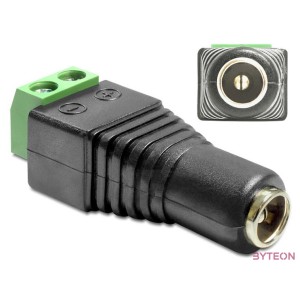 DeLOCK 65421 csatlakozó átlakító DC 2.1 x 5.5 mm 2p Fekete, Zöld, Ezüst