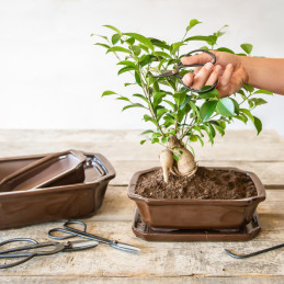 Fekete acél bonsai olló, 11 cm