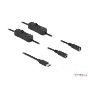 DeLOCK 86800 csatlakozó átlakító USB Type-C 2 x DC 5.5 x 2.1 mm Fekete
