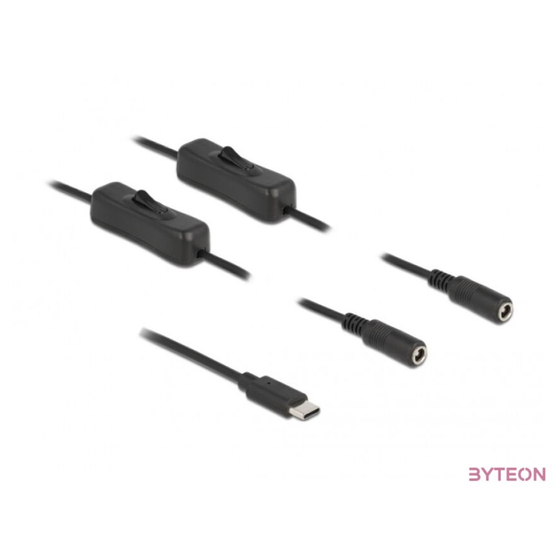DeLOCK 86800 csatlakozó átlakító USB Type-C 2 x DC 5.5 x 2.1 mm Fekete
