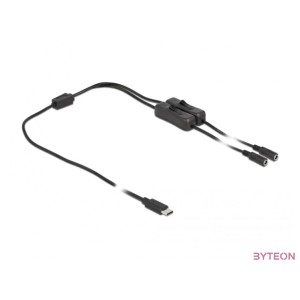 DeLOCK 86800 csatlakozó átlakító USB Type-C 2 x DC 5.5 x 2.1 mm Fekete