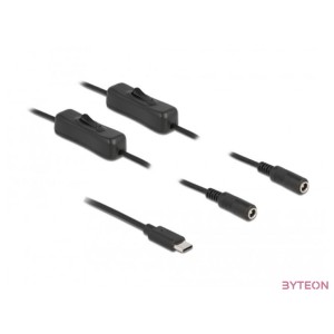 DeLOCK 86800 csatlakozó átlakító USB Type-C 2 x DC 5.5 x 2.1 mm Fekete