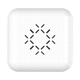 Carlinkit U2W MINI wireless adapter (white)