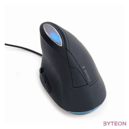 GEMBIRD MUS-ERGO-03 Ergonomic 6-button optical mouse spacegrey