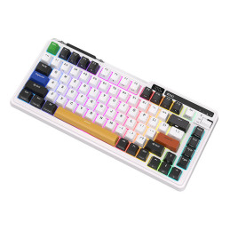 Mechanical keyboard Royal Kludge KZZI K75 pro RGB, Moment Switch (black and white)