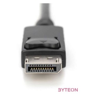 DIGITUS HDMI to DP adapter cable 2m 4K,30Hz external Power via USB - A