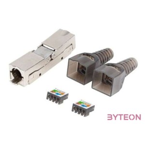 LANBERG 2x RJ-45 FTP cat 6A plug 8P8C tool-less adapter