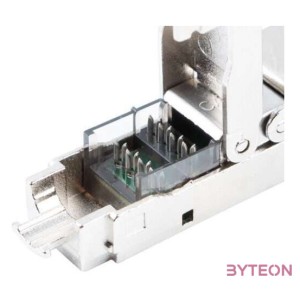 LANBERG 2x RJ-45 FTP cat 6A plug 8P8C tool-less adapter