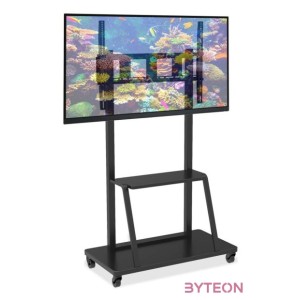TECHLY 105575 Mobile stand for large TV LCD,LED,Plasma 55-100inch 150kg VESA shelf