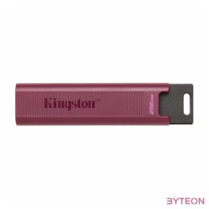 KINGSTON 256GB USB3.2 TypeA DataTraveler