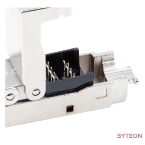 LANBERG 2x RJ-45 FTP cat 6 plug 8P8C tool-less adapter