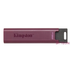 KINGSTON 256GB USB3.2 TypeA DataTraveler