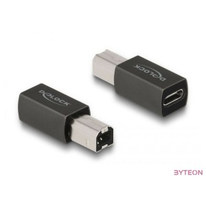 Delock USB 2.0 adapter USB Type-C anya  B-típusú apa