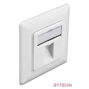 Delock Lezáró fali kimenet 1 csatlakozóval