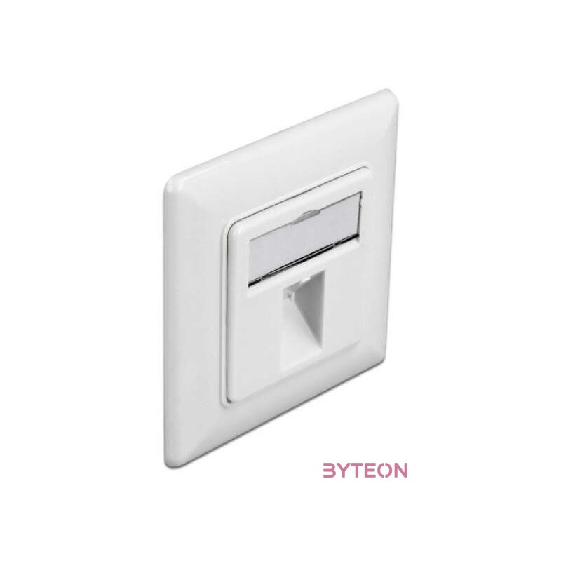 Delock Lezáró fali kimenet 1 csatlakozóval