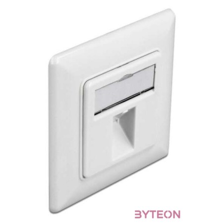 Delock Lezáró fali kimenet 1 csatlakozóval