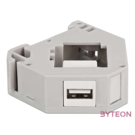 Delock DIN sín adapter Keystone A-típusú USB 2.0 anya csatlakozó felülettel