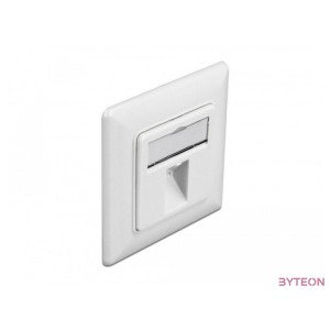 Delock Lezáró fali kimenet 1 csatlakozóval