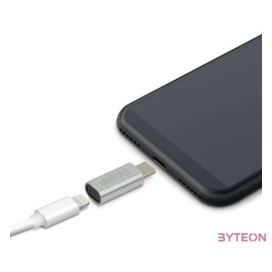 Delight USB Type-C - iPhone Lightning adapter Silver