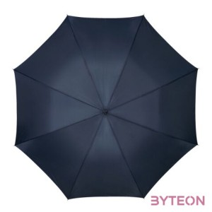 Samsonite Rain Pro Umbrella Blue