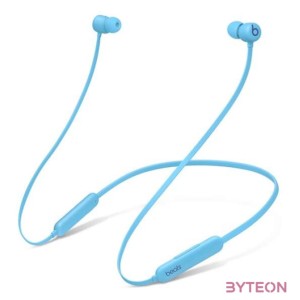 BEATS FLEX - ALL-DAY WIRELESS EARPHONES - FLAME BLUE