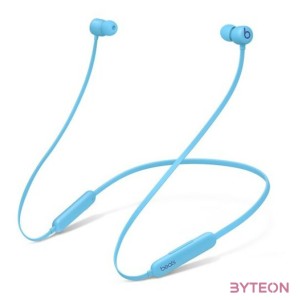 BEATS FLEX - ALL-DAY WIRELESS EARPHONES - FLAME BLUE
