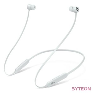 BEATS FLEX - ALL-DAY WIRELESS EARPHONES - SMOKE GRAY