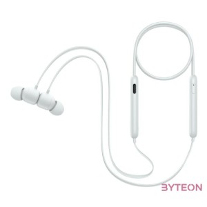 BEATS FLEX - ALL-DAY WIRELESS EARPHONES - SMOKE GRAY