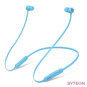 BEATS FLEX - ALL-DAY WIRELESS EARPHONES - FLAME BLUE