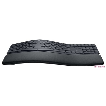ERGO K860 FOR BUSINESS-GRAPHITE DEU - CENTRAL