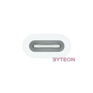 USB-C TO APPLE PENCIL ADAPTER