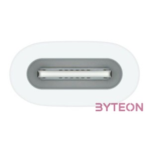 USB-C TO APPLE PENCIL ADAPTER