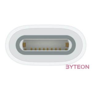 USB-C TO APPLE PENCIL ADAPTER