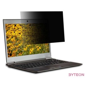 SECURITY FILTER 2-WAY PLUG IN FOR 15.6IN WIDE (169)