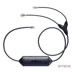 EHS-ADAPTER F, AVAYA-TERMINAL .