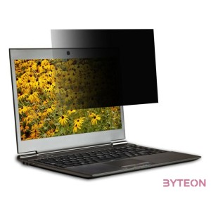 SECURITY FILTER 2-WAY PLUG IN FOR 15.6IN WIDE (169)