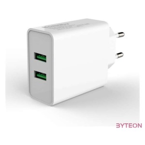 ColorWay CHS017Q Hálózati 2xUSB-A töltő (36W)