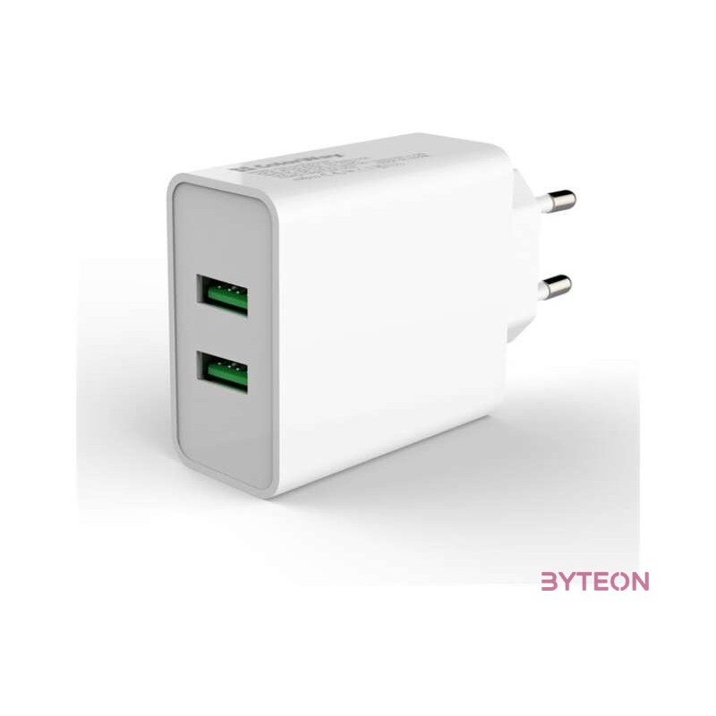 ColorWay CHS017Q Hálózati 2xUSB-A töltő (36W)