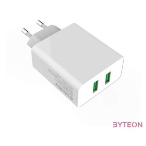 ColorWay CHS017Q Hálózati 2xUSB-A töltő (36W)