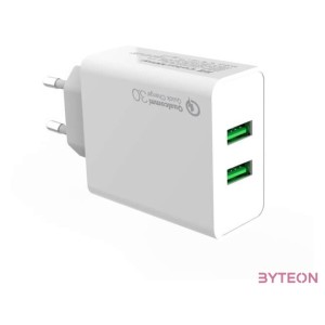 ColorWay CHS017Q Hálózati 2xUSB-A töltő (36W)