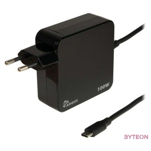 Inter-Tech PD-2100 USB-C Hálózati töltő - Fekete (100W)